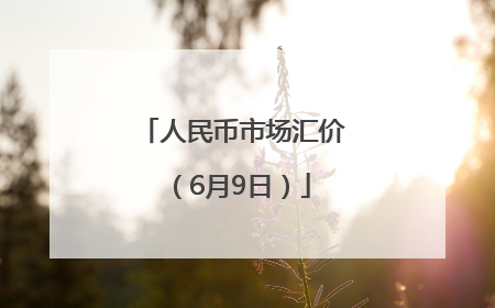 人民币市场汇价（6月9日）
