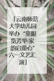 云南师范大学幼儿园举办“童眼览芳华·家韵启童心”六一文艺汇演