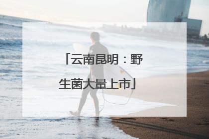 云南昆明：野生菌大量上市