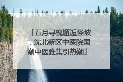 五月寻槐邂逅怪坡，沈北新区中医院国潮中医雅集引热潮