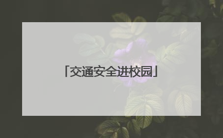 交通安全进校园