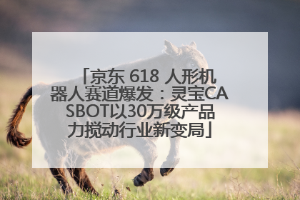 京东 618 人形机器人赛道爆发：灵宝CASBOT以30万级产品力搅动行业新变局