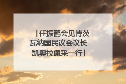 任振鹤会见博茨瓦纳国民议会议长凯奥拉佩采一行