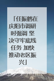 任振鹤在庆阳市调研时强调 坚决守牢底线任务 加快推动老区振兴