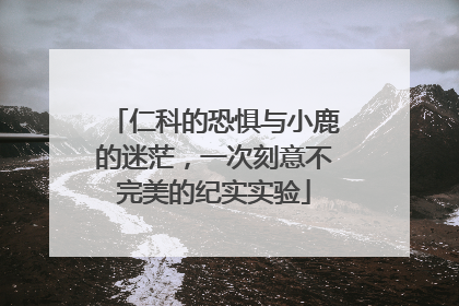 仁科的恐惧与小鹿的迷茫，一次刻意不完美的纪实实验