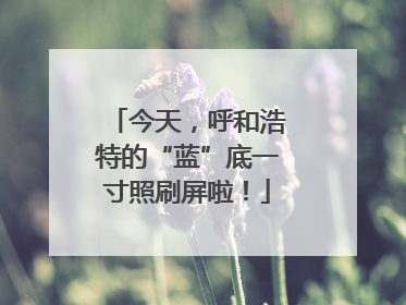 今天，呼和浩特的“蓝”底一寸照刷屏啦！