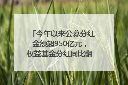 今年以来公募分红金额超950亿元，权益基金分红同比翻倍｜招财猫