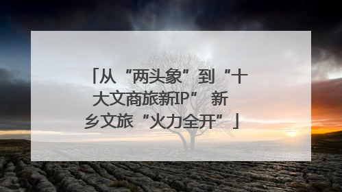 从“两头象”到“十大文商旅新IP” 新乡文旅“火力全开”