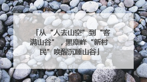 从“人去山空”到“客满山谷”，黑麋峰“新村民”唤醒沉睡山谷