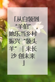 从白领到“羊倌”，她乐当乡村振兴“领头羊”｜来长沙 创未来