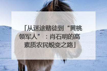 从迷途赌徒到“黄桃领军人”：肖石明的高素质农民蜕变之路