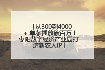 从300到4000+ 单条播放破百万！枣阳数字经济产业园打造新农人IP