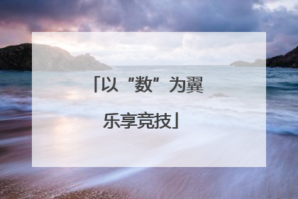 以“数”为翼 乐享竞技