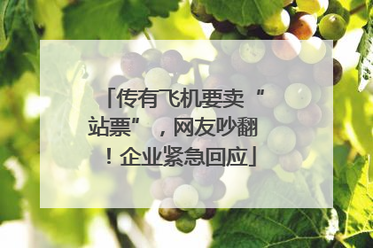 传有飞机要卖“站票”，网友吵翻！企业紧急回应
