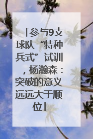 参与9支球队“特种兵式”试训，杨瀚森：突破的意义远远大于顺位
