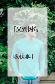 又到树莓收获季