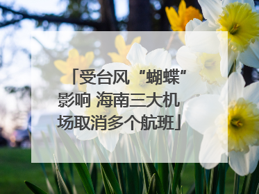 受台风“蝴蝶”影响 海南三大机场取消多个航班