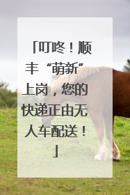 叮咚！顺丰“萌新”上岗，您的快递正由无人车配送！