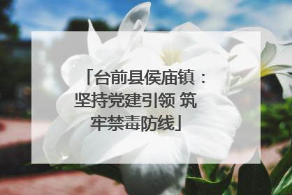 台前县侯庙镇：坚持党建引领 筑牢禁毒防线