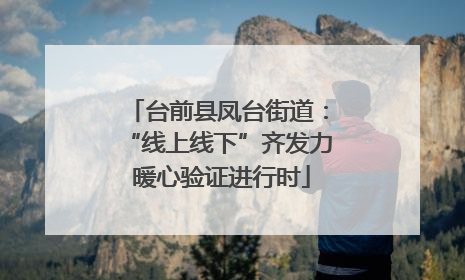台前县凤台街道：“线上线下”齐发力 暖心验证进行时