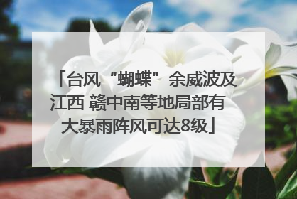 台风“蝴蝶”余威波及江西 赣中南等地局部有大暴雨阵风可达8级