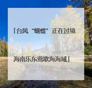 台风“蝴蝶”正在过境海南乐东莺歌海海域