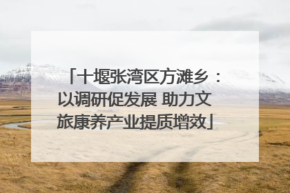 十堰张湾区方滩乡：以调研促发展 助力文旅康养产业提质增效