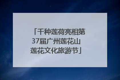 千种莲荷亮相第37届广州莲花山莲花文化旅游节