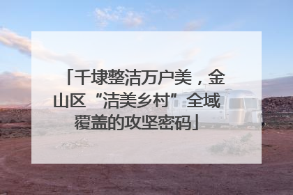 千埭整洁万户美，金山区“洁美乡村”全域覆盖的攻坚密码
