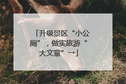 升级景区“小公厕”，做实旅游“大文章”→