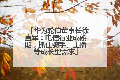 华为轮值董事长徐直军：电信行业成熟期，抓住骑手、主播等成长型需求