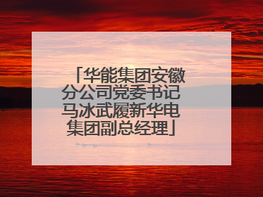 华能集团安徽分公司党委书记马冰武履新华电集团副总经理