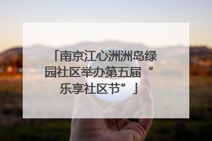 南京江心洲洲岛绿园社区举办第五届“乐享社区节”