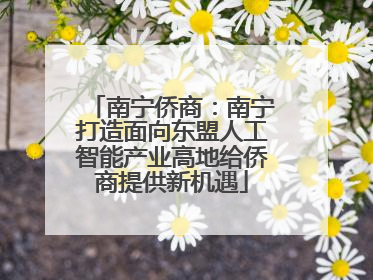 南宁侨商：南宁打造面向东盟人工智能产业高地给侨商提供新机遇