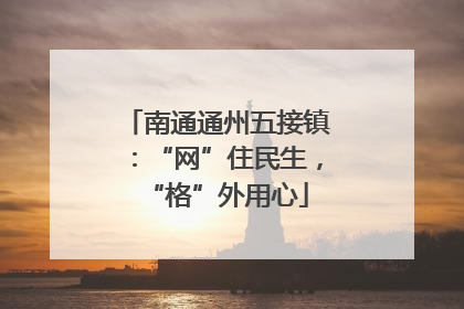 南通通州五接镇：“网”住民生，“格”外用心