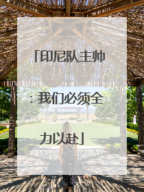 印尼队主帅：我们必须全力以赴
