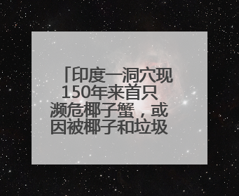 印度一洞穴现150年来首只濒危椰子蟹，或因被椰子和垃圾吸引