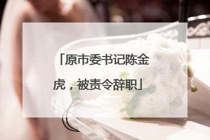原市委书记陈金虎，被责令辞职