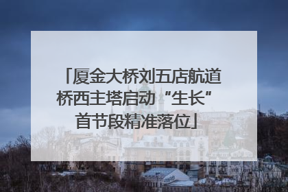厦金大桥刘五店航道桥西主塔启动“生长” 首节段精准落位