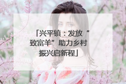 兴平镇：发放“致富羊”助力乡村振兴启新程