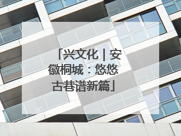 兴文化｜安徽桐城：悠悠古巷谱新篇