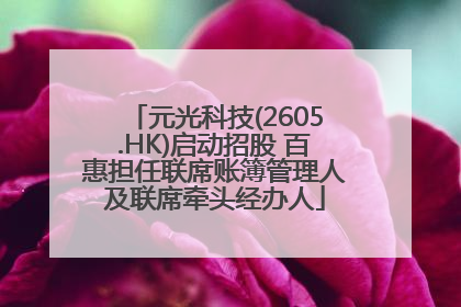 元光科技(2605.HK)启动招股 百惠担任联席账簿管理人及联席牵头经办人