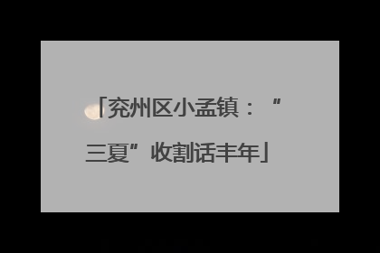 兖州区小孟镇：“三夏”收割话丰年