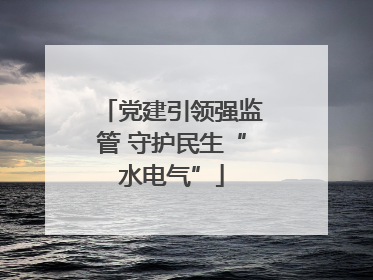 党建引领强监管 守护民生“水电气”