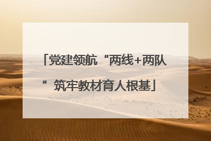 党建领航“两线+两队”筑牢教材育人根基