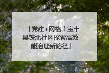 党建+网格！宝丰县铁北社区探索高效能治理新路径