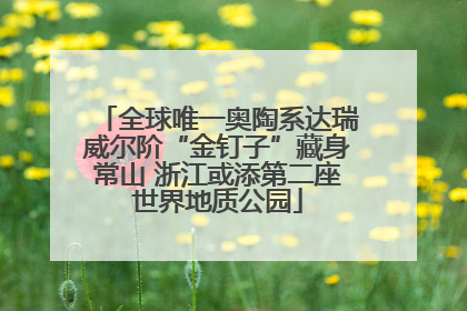 全球唯一奥陶系达瑞威尔阶“金钉子”藏身常山 浙江或添第二座世界地质公园