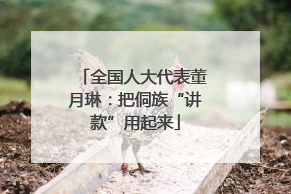 全国人大代表董月琳：把侗族“讲款”用起来