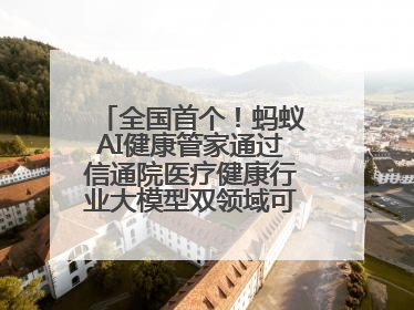 全国首个！蚂蚁AI健康管家通过信通院医疗健康行业大模型双领域可信评估