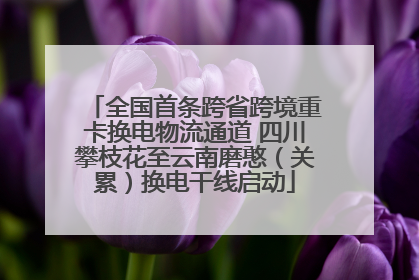 全国首条跨省跨境重卡换电物流通道 四川攀枝花至云南磨憨（关累）换电干线启动